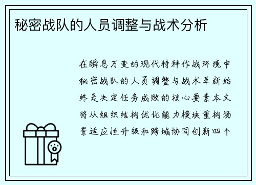秘密战队的人员调整与战术分析