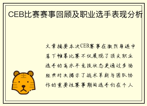 CEB比赛赛事回顾及职业选手表现分析